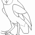 owl branch free clipart