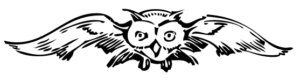 owl flying at us free clipart