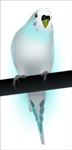 parrot aqua free clipart