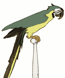 parrot free clipart