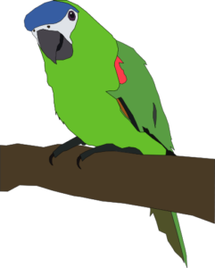 parrot large free clipart