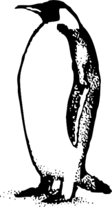 penguin simple free clipart