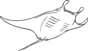 ray free clipart