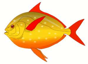red finned fish free clipart