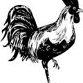 rooster bw free clipart