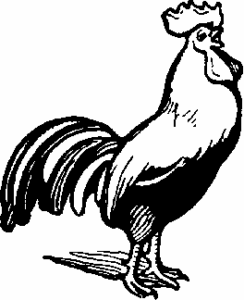 rooster bw free clipart