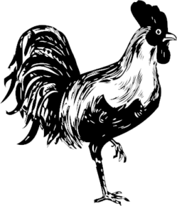 rooster bw free clipart