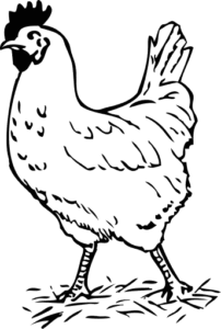 rooster bw sketch free clipart