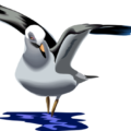 seagull free clipart