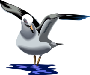 seagull free clipart