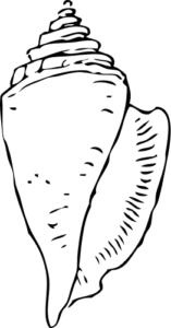 seashell large bw free clipart