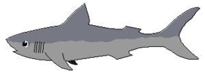 shark free clipart