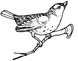 small bird branch bw free clipart