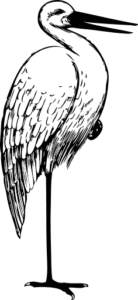 stork bw sketch free clipart