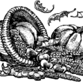 thanksgiving cornucopia free clipart