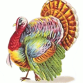 thanksgiving turkey colorful free clipart