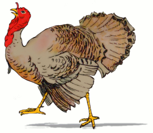 thanksgiving turkey large free clipart