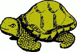 tortoise free clipart