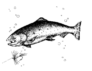 trout free clipart