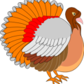 turkey bright free clipart