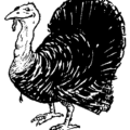 turkey fun free clipart