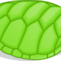 turtle shell free clipart