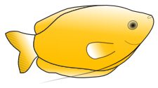 yellow gourami free clipart