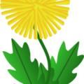 abstracted dandelion free clipart