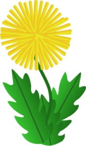 abstracted dandelion free clipart