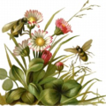 bees flowers free clipart