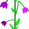 bell flower free clipart