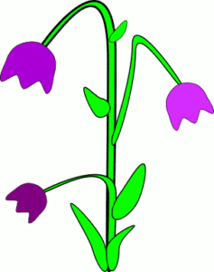 bell flower free clipart