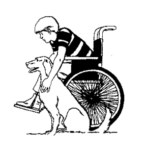 boy dog wheelchair free clipart