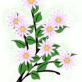 bunch of flowers free clipart