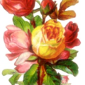 colorful roses free clipart