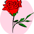 coloured rose free clipart