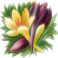 crocus free clipart