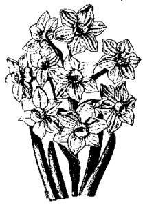 daffy flowers bw free clipart