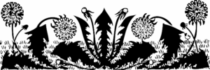 dandelions free clipart