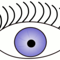 eye w long lashes free clipart