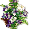 flowers with ferns free clipart