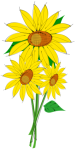 helianthus free clipart