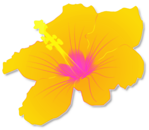 hibiscus free clipart