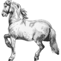 horse 11 free clipart