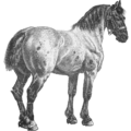 horse 17 free clipart