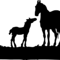 horse mare and foal silhouette free clipart