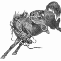 horse wild free clipart