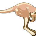 kangaroo jump free clipart