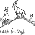 kongoni lookout of the plains free clipart