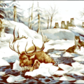 moose and wolves free clipart